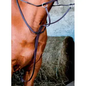 Nedsatt pris T de T Ring martingale 03